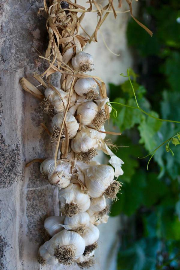 Beaune d'Allier Shenmen B&B 외부 사진